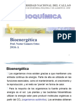 Clase 04 Bioenergetica