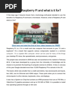 What Is Raspberry PI PDF