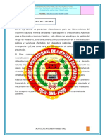 tarea auditoria gubernamental