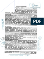 Contrato de Consorcio Ciudad Nueva PDF