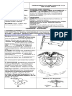 Guía 9 Sociales PDF