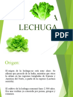 La Lechuga