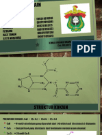 Struktur Kokain-2