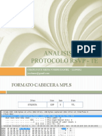 Análisis del protocolo RSVP-TE