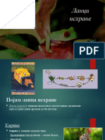 Ланци исхране