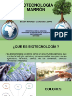 Biotecnología Marrón