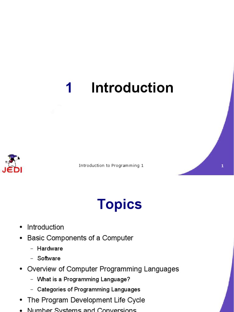 Introduction to Computer Programming Basics | PDF | Computer Data ...