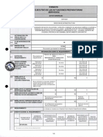 RESUMEN_EJECUTIVO_PDF_20200807_191233_506.pdf