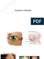 Patologie in Imagini