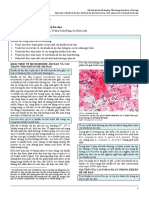 Tiết dịch âm đạo bất thường PDF