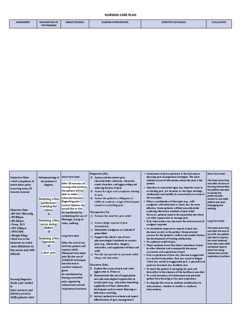 NCP Labor Pain | PDF | Pain | Pain Management