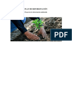 Proyecto de Reforestación PDF