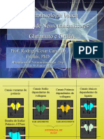 5 - Neurofisiologia - Sistema de Neurotransmissores - Glutamato e GABA (1)
