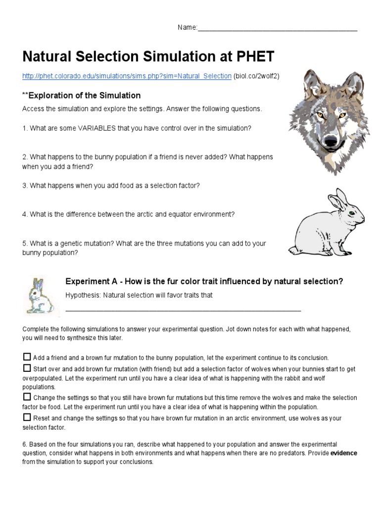 Natural Selection Simulation Basic PDF Natural Selection