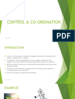 Control & Co-Ordination 1.1