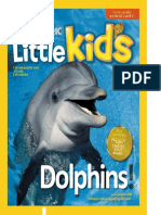 Dolphins !: Animal Cards!