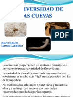 Biodiversidad Cuevas PDF