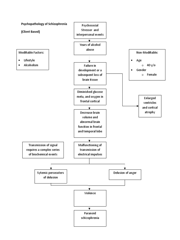 Psychopathology Of Schizophrenia Client