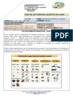 Guía 3. Los Instrumentos Musicales PDF