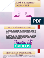 Donación de óvulos y esperma: requisitos, procedimientos y éxito