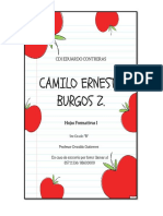 Presentación1.pdf