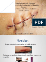 Heridas y Cicatrizacion