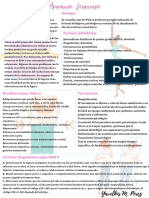 Anorexia Por Y.Pérez Poster PDF