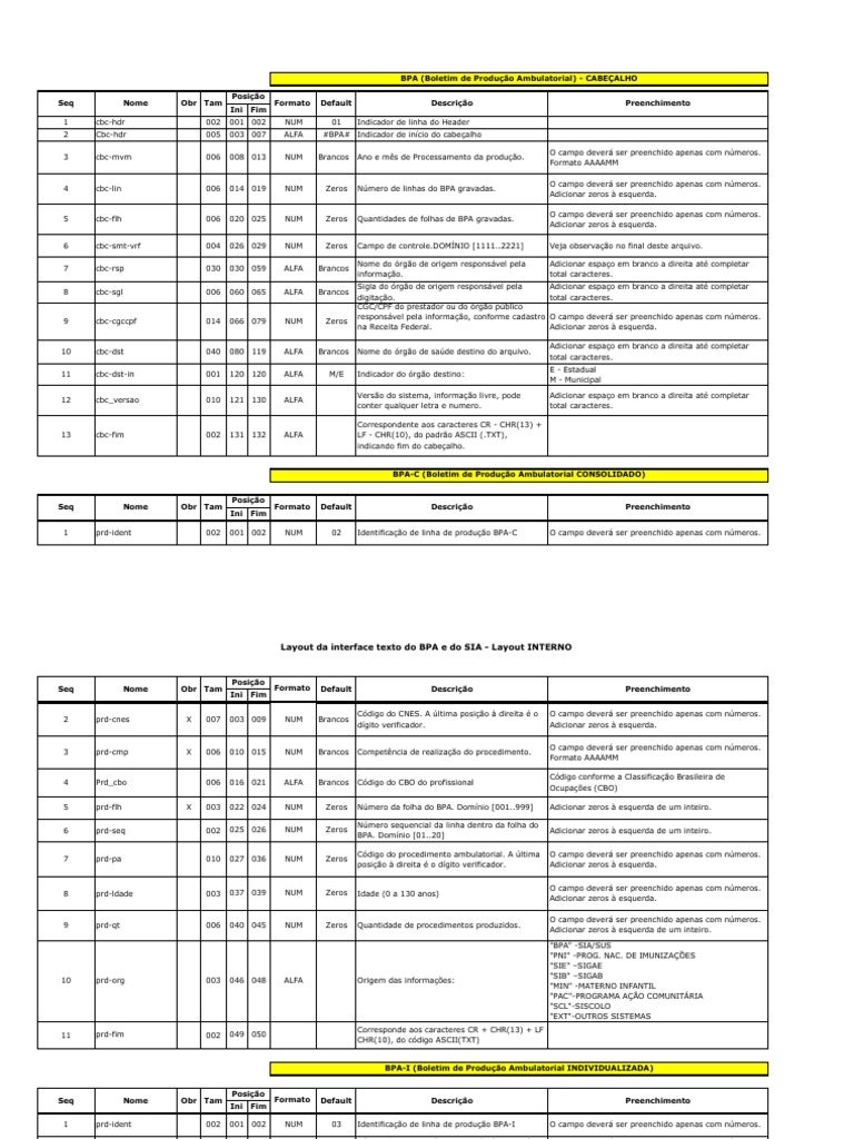Layout do BPA: Consolidado e Individualizado | PDF | Arquivo de texto ...