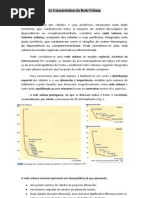 1-As caracterísitcas da rede urbana