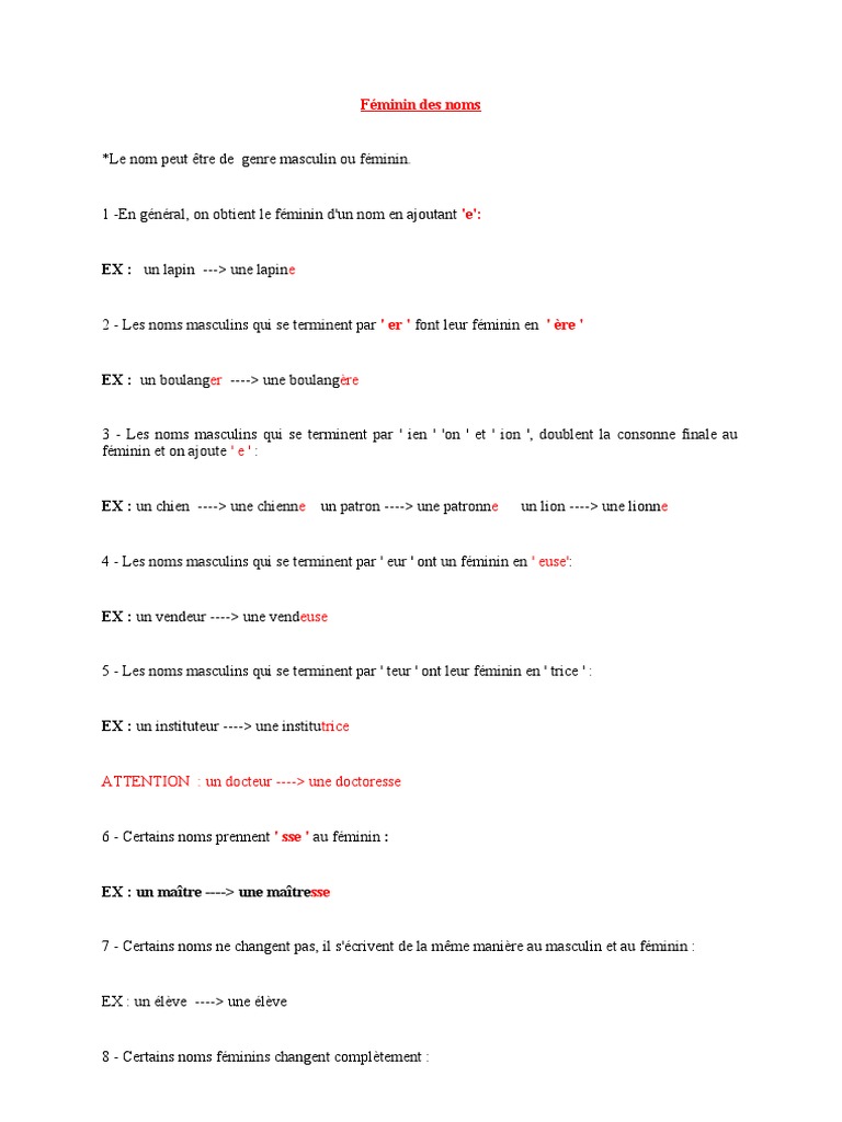 Le Féminin Des Noms Exercices Pdf Féminin Des noms-VI-a VII Fisa 13.03 | PDF