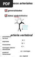 Anatomía de la AICA y su relevancia clínica | PDF | Anatomía humana ...