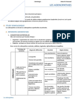 Résumé Adam Roumani