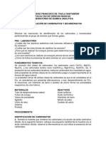 Guía Identificación de Carbonatos y Grupo Del Azufre
