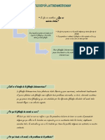 Filosofía Latinoamericana PDF