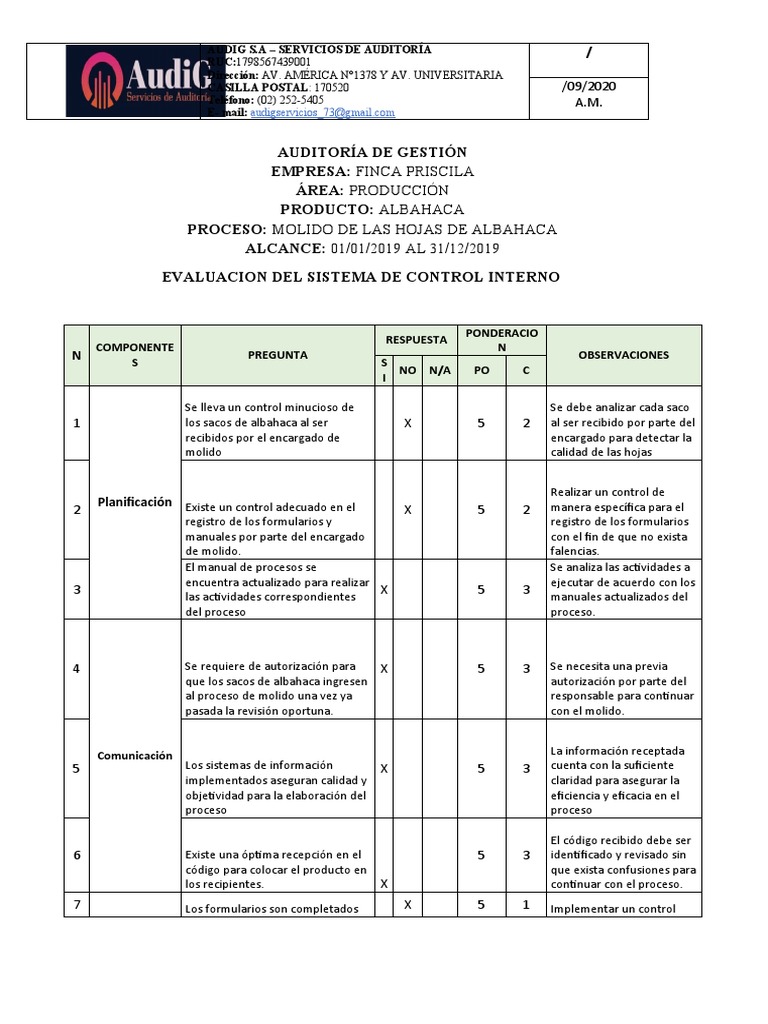Evaluacion Del Sistema de Control Interno | PDF | Business | Informática
