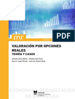 Valoración Por Opciones Reales - Teoría y Casos 6488