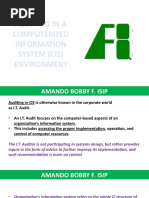 Auditing in A Computerized Information System (Cis) Environment