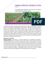 06. Fisiopatias en berries.pdf