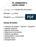 CLASE PATOLOGIA.ppt