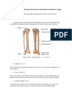 Taller 3 y 4