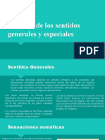 Los Organos de Los Sentidos Generales y Especiales