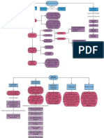 Mapa Conceptual Medicina Preventiva PDF