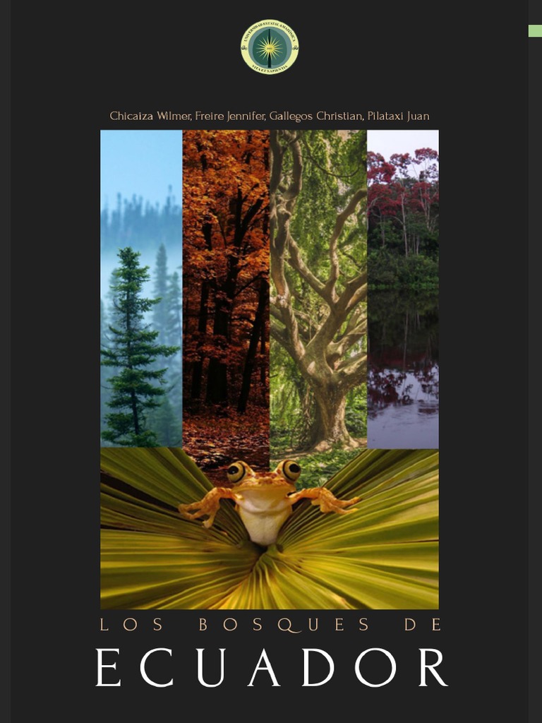 🌴 Conoce el Bosque/Santuario de Palmas de cera más grande del mundo... Le  apodan 📍 \, image size:768x1024