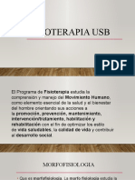 Fisioterapia Usb