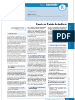 Papeles de Trabajo de Auditoría.pdf