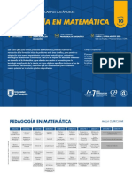 Pedagogia_Matematica.pdf