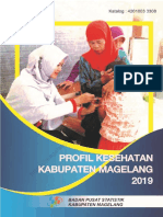 Profil Kesehatan Kabupaten Magelang 2019 PDF