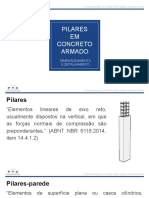 Aula 1 Pilares PDF