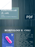 Escherichia coli_michel s m beti (1708010041)