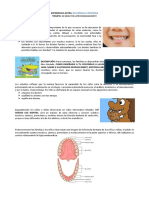 EXPERIENCIA-EXTRA-MI-FORMULA-DENTARIA.pdf